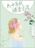 六零年代媒婆生涯格格党