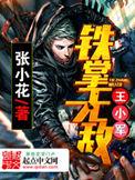 铁掌无敌王小军TXT目录最新章节