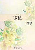 微检by南枝txt