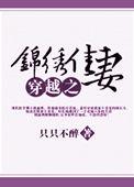 穿越之锦绣人生