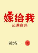 嫁给我嫁给我我的