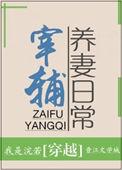 宰辅宠妻日常全文免费阅读