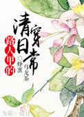 路人甲的清穿日常无错章