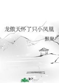龙傲天怀了只小凤凰笔趣阁