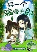 好一个骗婚夫郎txt