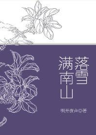 落雪满南山讲了什么