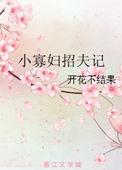 小寡妇招夫记无防盗