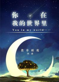 你在我的世界里来去匆匆是什么歌曲