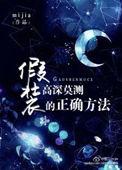 假装高雅