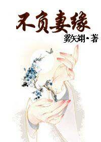 不负妻缘 雾矢翊讲的什么