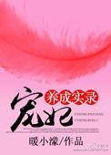 宠妃养成记arp