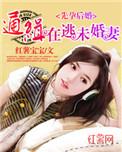 先孕后婚的甜宠文