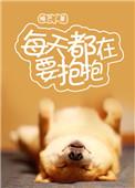 每天都在要抱抱钟虎的什么身份