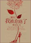 我被你套路了是什么意思