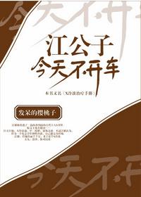 江公子今天不开车无防盗