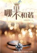 不和谐问题