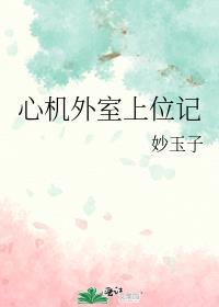 心机外室上位记 婉竹