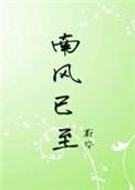 南风已至宝书网