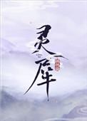 灵犀屏亮相合作伙伴大会