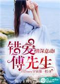 错爱傅先生百度