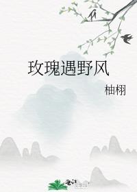 玫瑰遇野风番外大结局