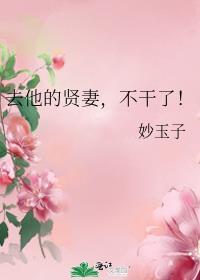 去他的贤妻不干了番外