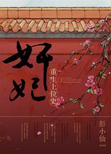 妃子上位by