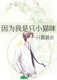 因为我就是一只猫