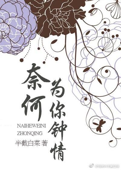 奈何为你钟情 讲的什么