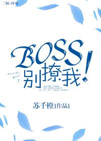 boss别闹安音免费阅读无弹窗