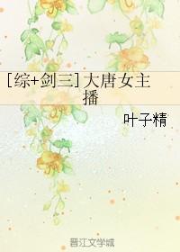 剑三大唐公主