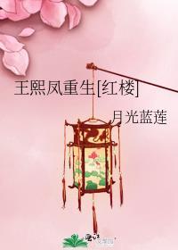 王熙凤重生红楼寒小期