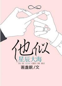 他似星辰大海番外书