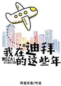 我在迪拜的这些年 作者所言非言