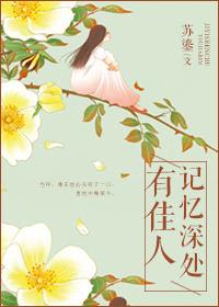记忆深处有佳人无错版