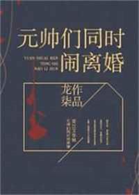 元帅们闹离婚TXT百度
