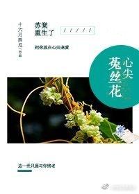 心尖丝兔