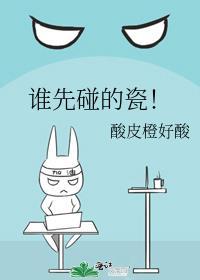 谁先碰的瓷!