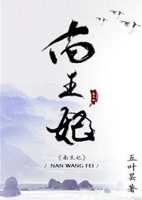 南王妃 电子书免费