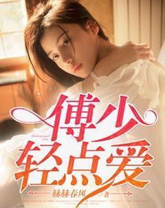 傅少宠不停