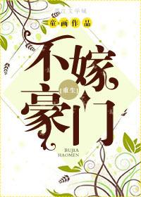 不嫁豪门书籍