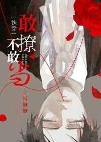 敢撩不敢当快穿无删