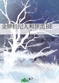 金牌经纪人by