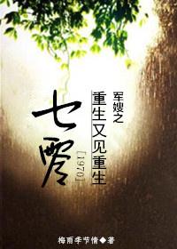重生七零军嫂重生又见重生