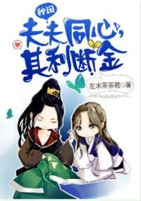 夫夫同心其利断金种田