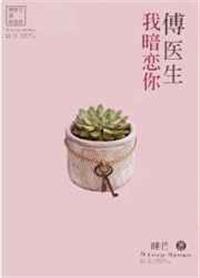傅医生我暗恋你番外