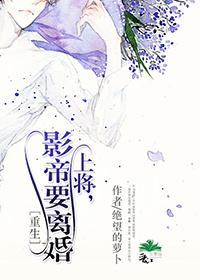 上将影帝要离婚有声