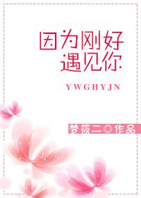 因为刚好遇见你下一句是什么