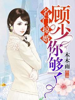 书名是名门掠婚顾少