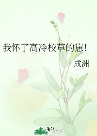 我怀了高冷校草的崽